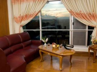 Hotel Panda 3*